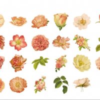 Скрапбук стикери за декорация планер рози цветя - 23 бр /комплект , снимка 2 - Други - 38222946