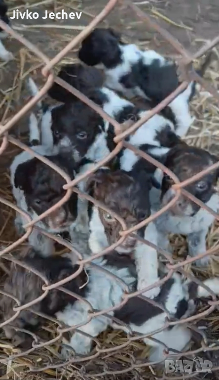 Лагото , снимка 1