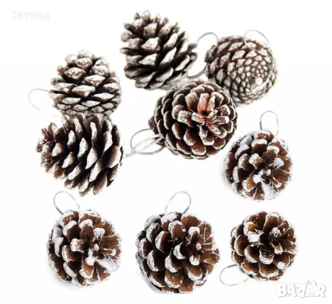 Шишарки, снимка 1