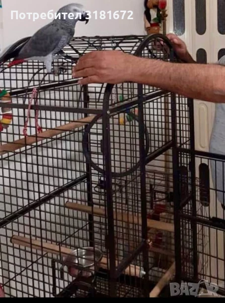 Клетка за папагал Жако, снимка 1
