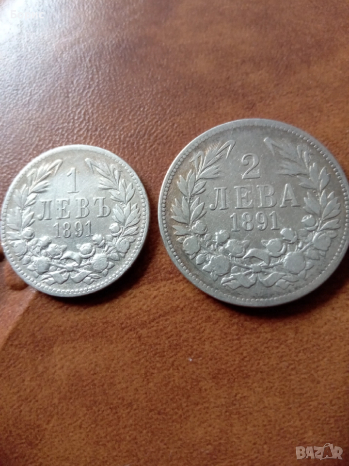 Лев 1891, снимка 1