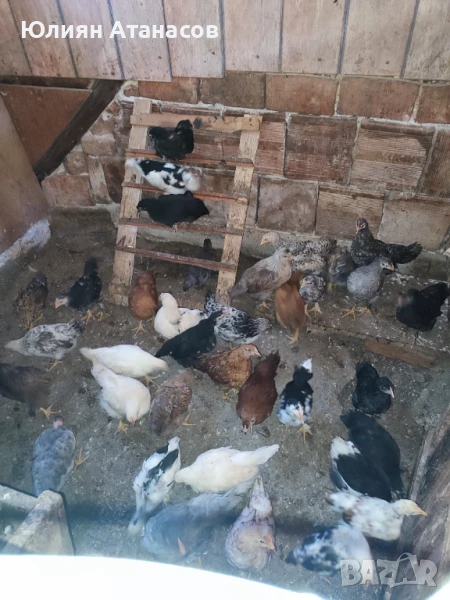 Продавам пилета, снимка 1