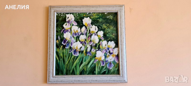 Бели ириси живопис, снимка 1