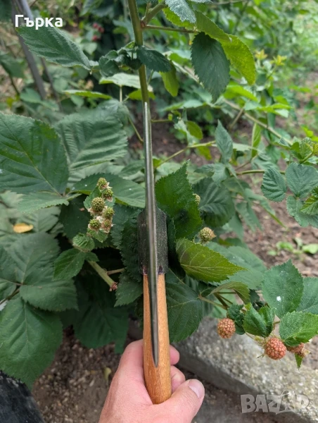 Стара Месарска брадва, снимка 1