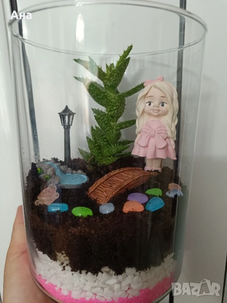 Красив терариум с естествено цвете , снимка 1