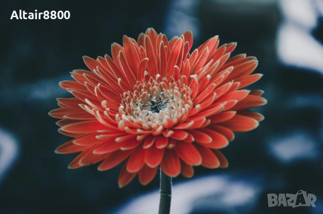 Nikon AF-S 18-105mm f/3.5-5.6G ED VR обектив Никон, снимка 7 - Обективи и филтри - 52285249