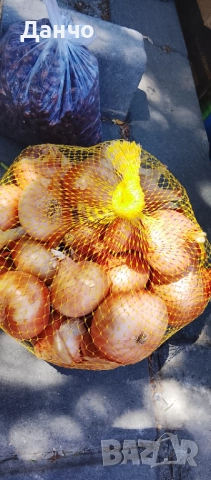 Продавам разсад-ягоди малини лозе алое Вера маруля стари сортовете семена картофи и де, снимка 3 - Разсади - 52299966