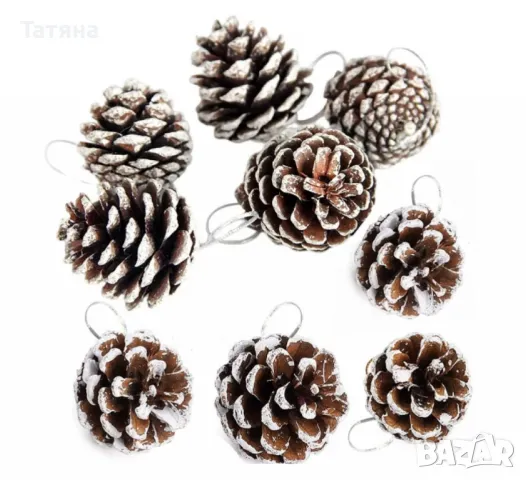 Шишарки, снимка 1