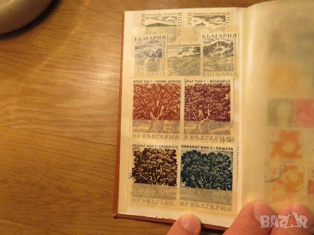 Колекция от 150 стари пощенски марки - кафява корица - птици, кучета, цветя, красиви местности, снимка 3 - Филателия - 40792317