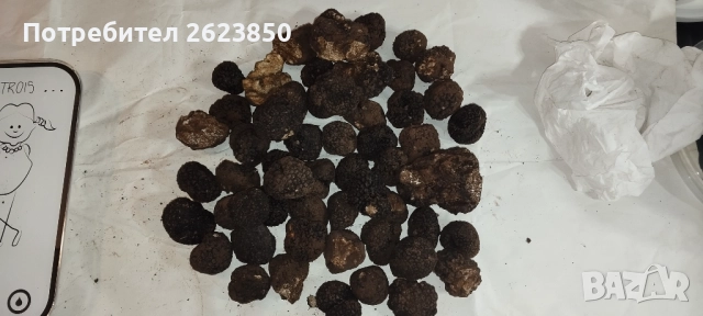 Черен Есенен Трюфел, снимка 3 - Други - 52071794