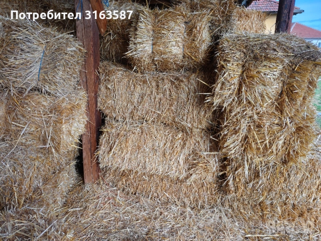 Бали пшенична слама , снимка 3 - За селскостопански - 53082998