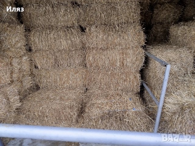 бали слама ечемичена, снимка 4 - Други стоки за животни - 53222476