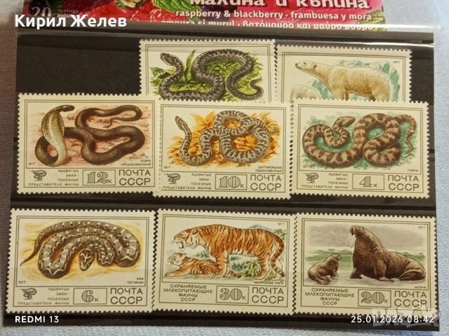 Стари пощенски марки чисти без печат СССР редки за КОЛЕКЦИЯ ДЕКОРАЦИЯ 52005