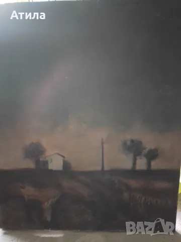 Картина 74/60 см, снимка 4 - Картини - 49162467