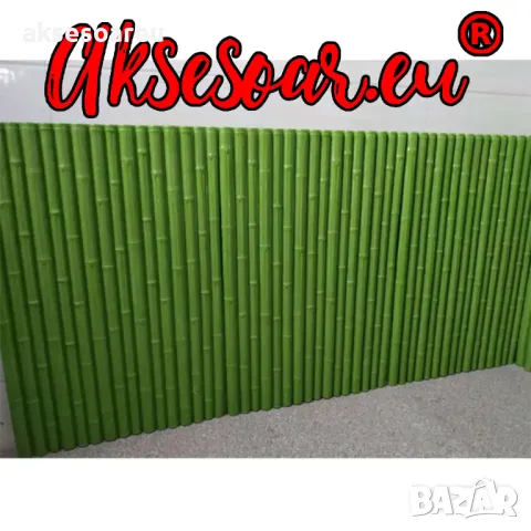 Семена бамбук Moso Bambo декоративни растения за дома и двора бамбуков разсад за декорация, снимка 9 - Сортови семена и луковици - 48995495