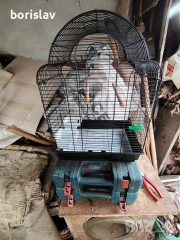 Продавам клетка за папагали. , снимка 6 - За птици - 53458351
