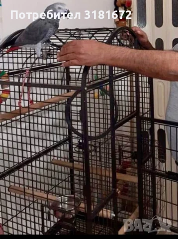 Клетка за папагал Жако