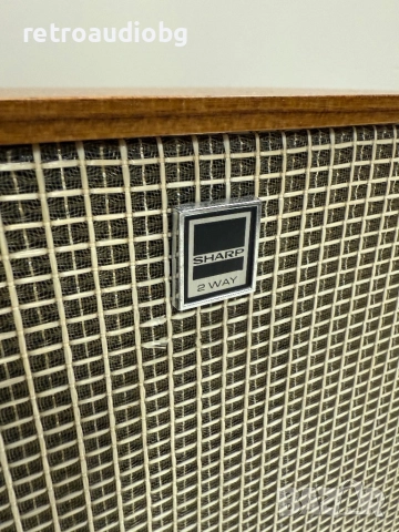 🔊Винтидж двулентови тонколони SHARP CP - 119H🔊, снимка 4 - Тонколони - 51772856
