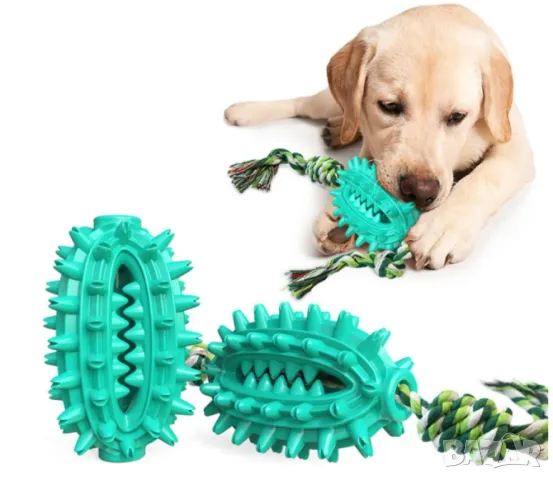 Играчка кактус – четка за зъби за домашни любимци, снимка 7 - За кучета - 49213886