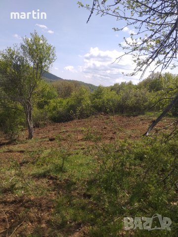 Почистване на пасища, снимка 4 - Селскостопанска техника - 39630131