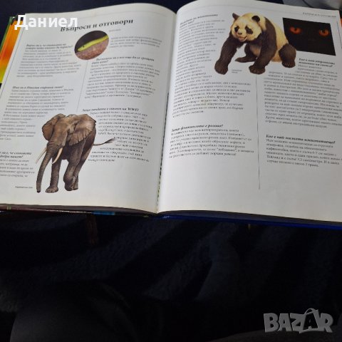 Голяма детска инциклопедия животни