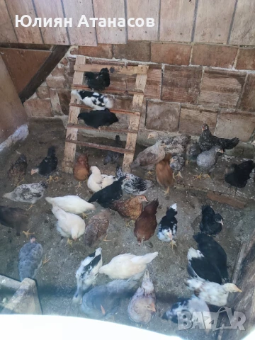 Продавам пилета, снимка 1