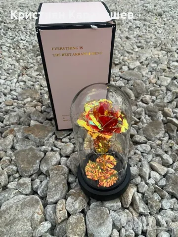 Вечна роза в стъкленица, снимка 2 - Романтични подаръци - 48092088
