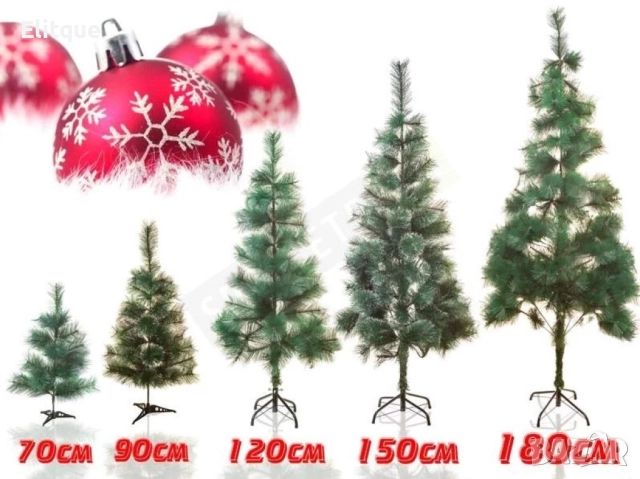 Коледно борче със зелени връхчета, снимка 3 - Други стоки за дома - 52888472