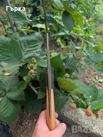 Стара Месарска брадва, снимка 1