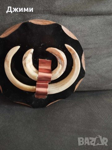 глиги от диво просе, снимка 1