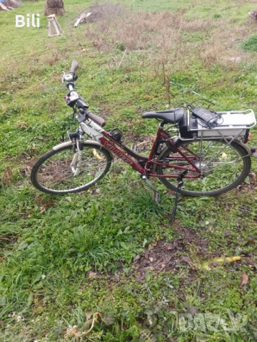 Електрическо немско колело (Williger)