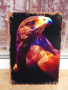 Метална табела орел сокол граблива птица царят на въздуха, снимка 1 - Колекции - 44858260