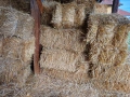 Бали пшенична слама , снимка 3