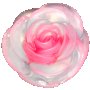 Сапун  малка роза, снимка 2