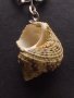 Красив ключодържател МОРСКА РАКОВИНА подходящ аксесоар за раници 36512, снимка 2