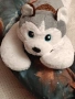 Плюшена играчка,хъски, снимка 1