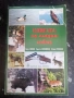 Книгата на младия ловец / Н.Нинов, Х.Михайлов,С.Стоянов , снимка 1