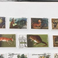 Пощенски марки фауна2 СССР, снимка 1 - Филателия - 43905420