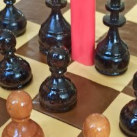 Шах за професионалисти , снимка 3 - Други спортове - 43467007