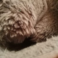 Hush Puppies сиви велурени топли ботуши  размер 39, снимка 7 - Дамски ботуши - 27239089