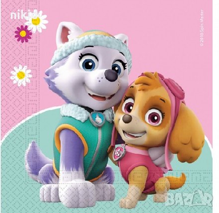  Скай и Еверест от Пес Патрул 10 бр парти салфетки за рожден ден, снимка 1