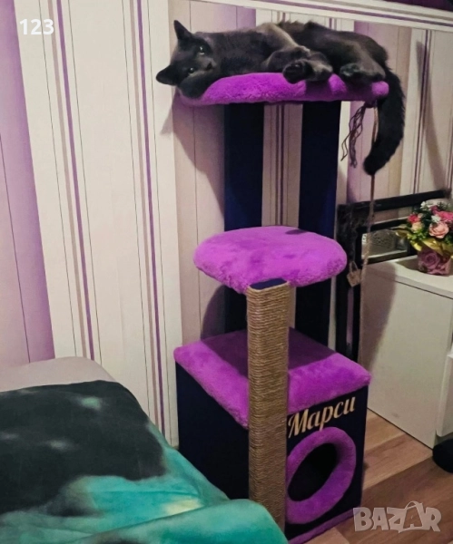 Катерушка, снимка 1