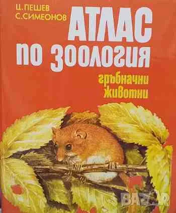 Атлас по зоология: Гръбначни животни, снимка 1