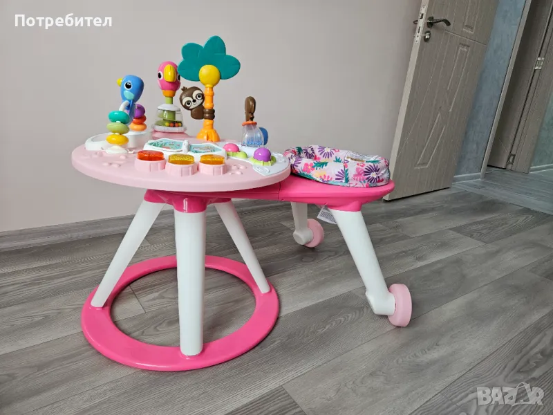 Бебешка проходилка , снимка 1