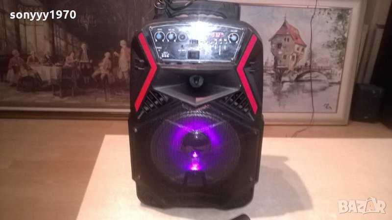 КОЛОНА БЕЗ МИКРОФОН И С БЛУТУТ, снимка 1