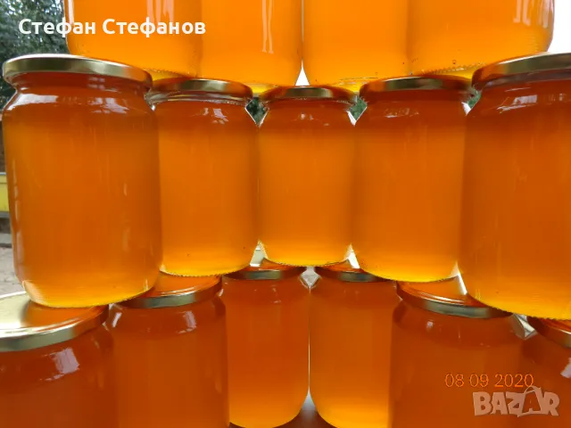 Захаросан пчелен мед, снимка 3 - Пчелни продукти - 48475683