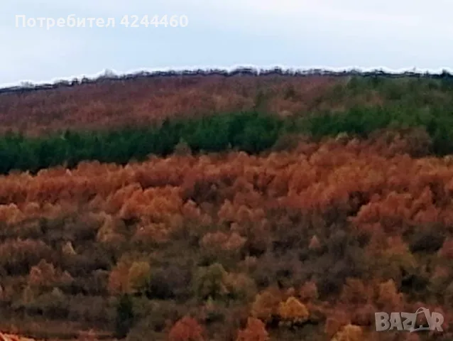 Къща село Пещерна,Ловешка област.Община Луковит, снимка 7 - Къщи - 47332675