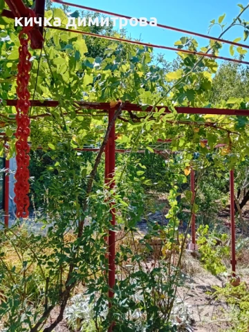 Къща в село Бояна , снимка 18 - Къщи - 51340776