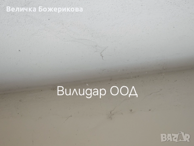 Почистване на входове, снимка 12 - Почистване на входове - 52151258