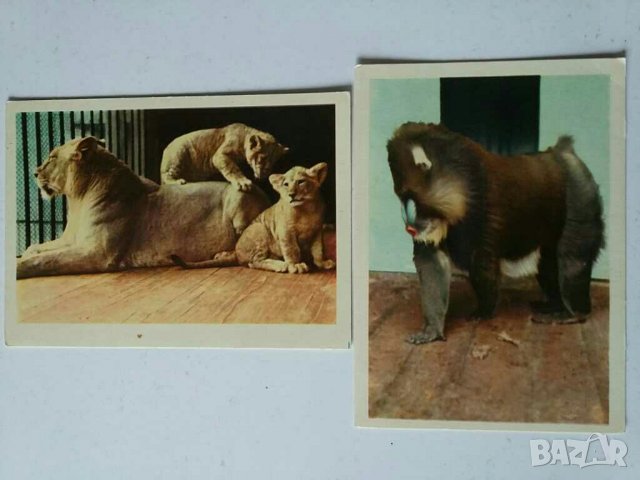 Албуми с картички от СССР Ленинград, снимка 11 - Колекции - 28969987